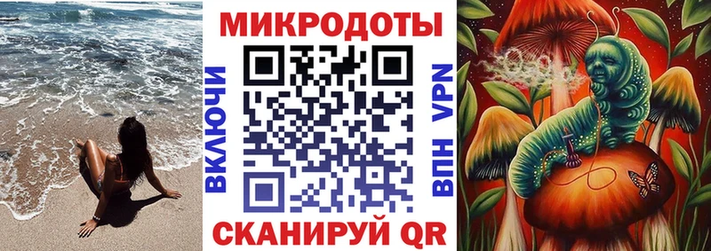 магазин    Чердынь  Галлюциногенные грибы мицелий 